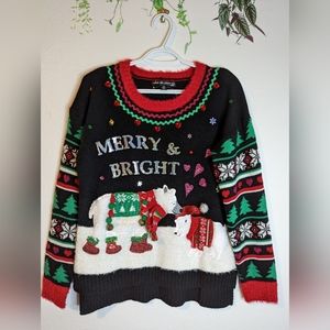 Women's Christmas or Holiday Sweater